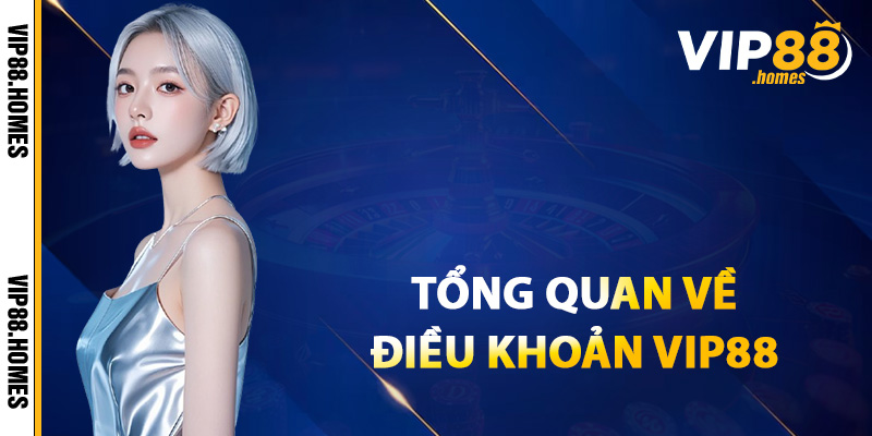Tổng quan về điều khoản VIP88